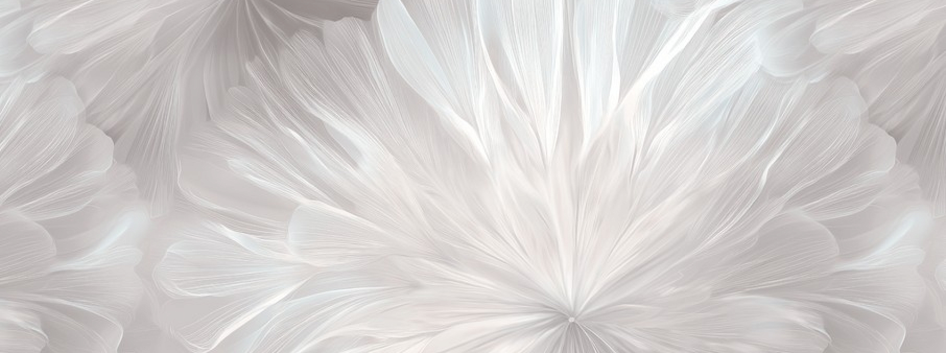 Изображение Erismann Stephanie 61022-04