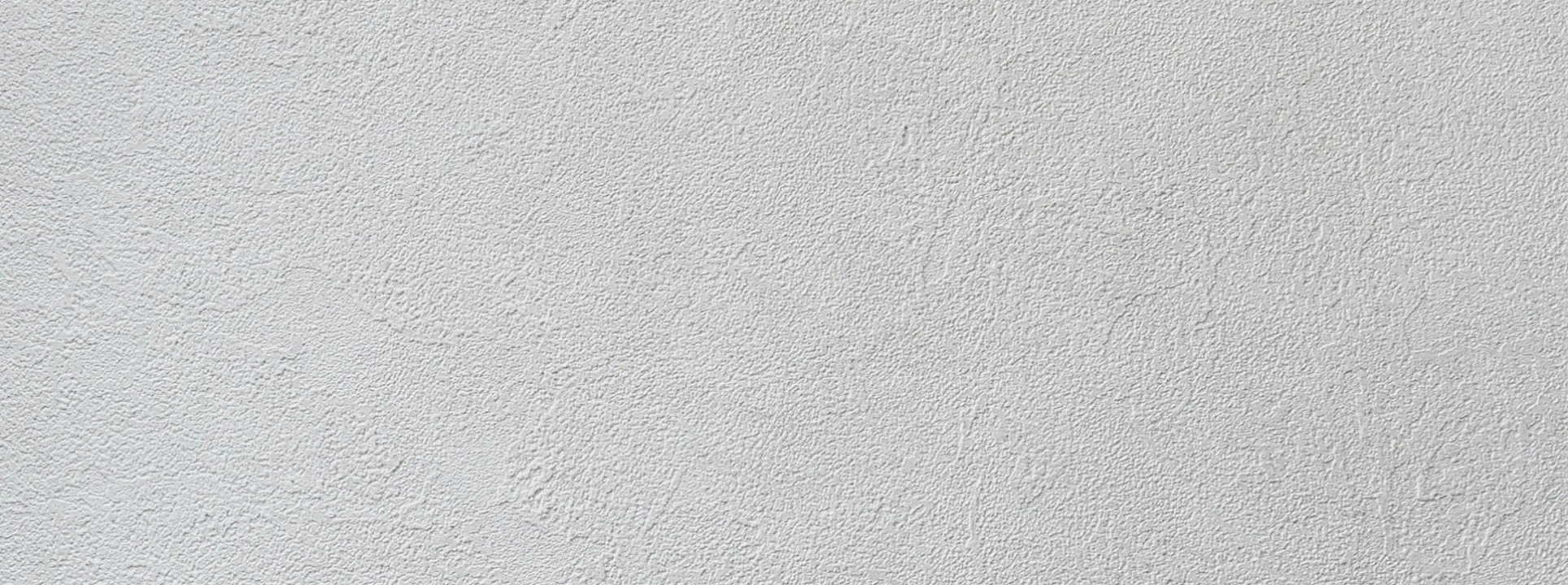 Изображение Alessandro Allori Bodega 2404-7