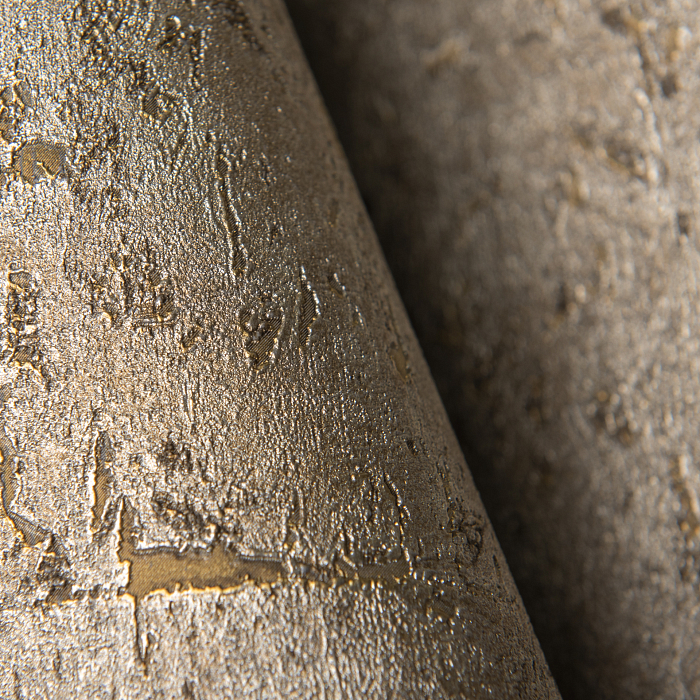 Rasch Curiosity 538342 — картинка №3