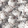 Victoria Stenova Peony 585339 — картинка №1