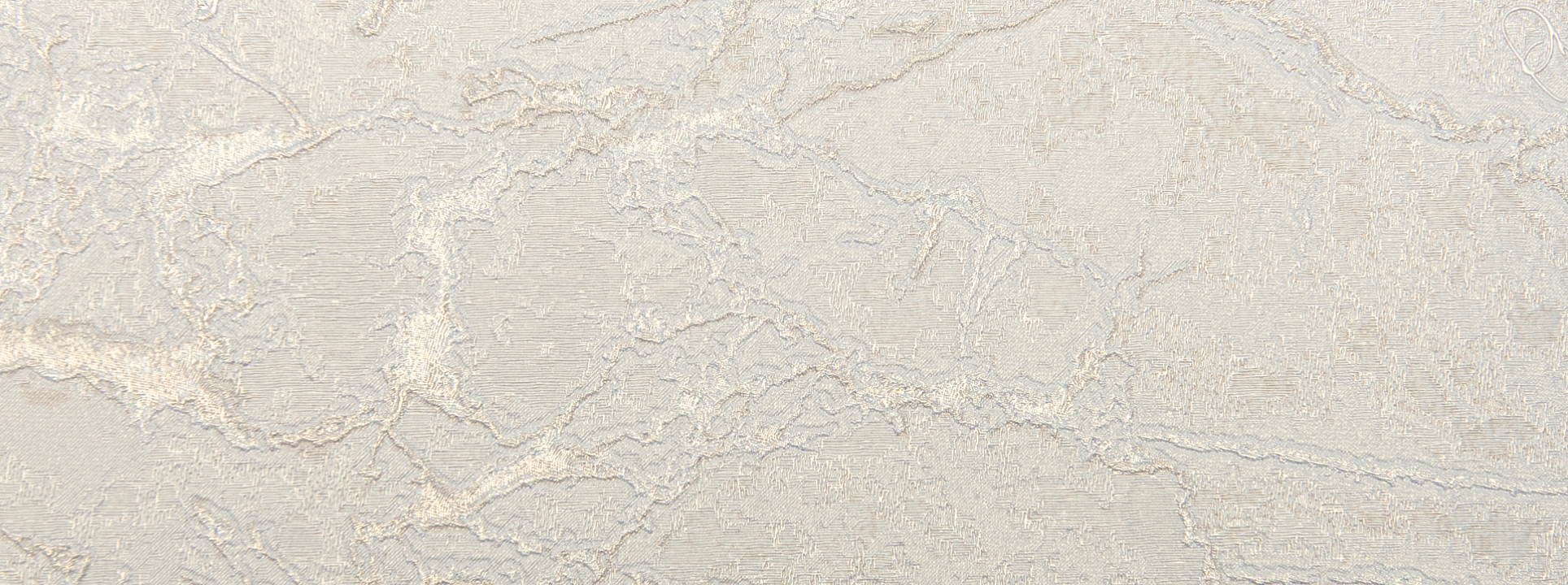 Изображение Zambaiti Philipp Plein 80016