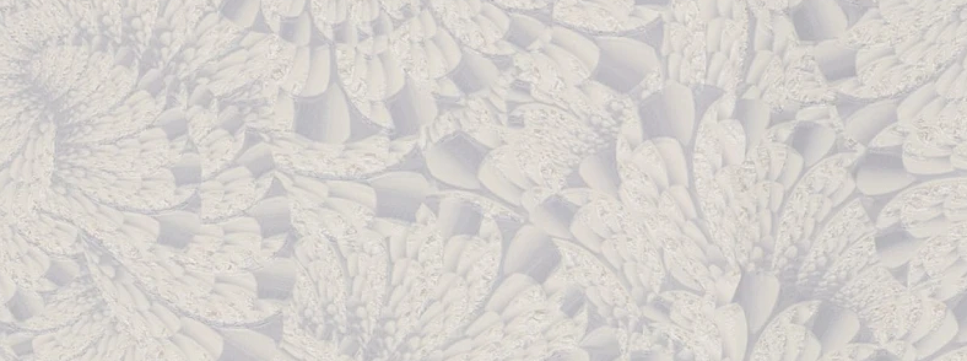 Изображение Zambaiti Burlesque 23904 R