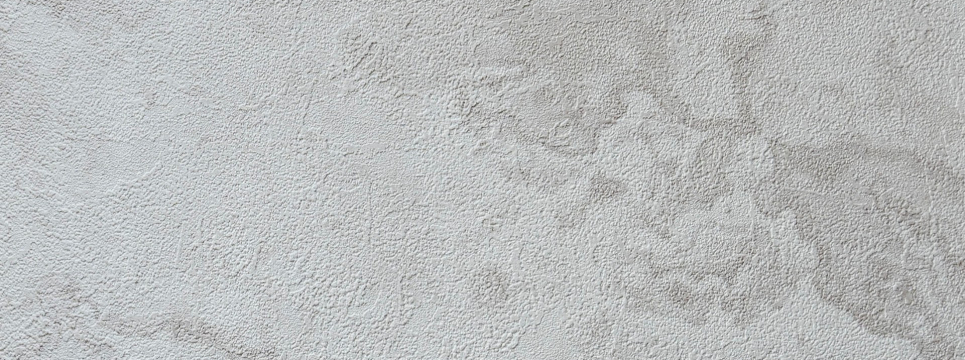 Изображение Alessandro Allori Bodega 2403-6