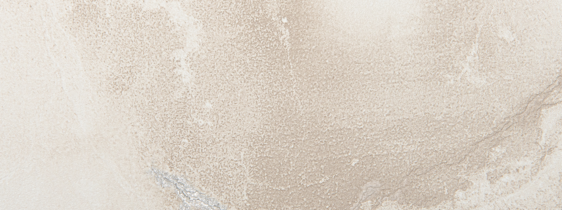 Изображение Alessandro Allori Rebecca 15009-4